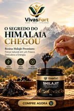 gid://shopify/MediaImage/70781278159197